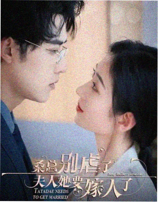 云播影院标本档案：剧集长夜灯台的标本页封面